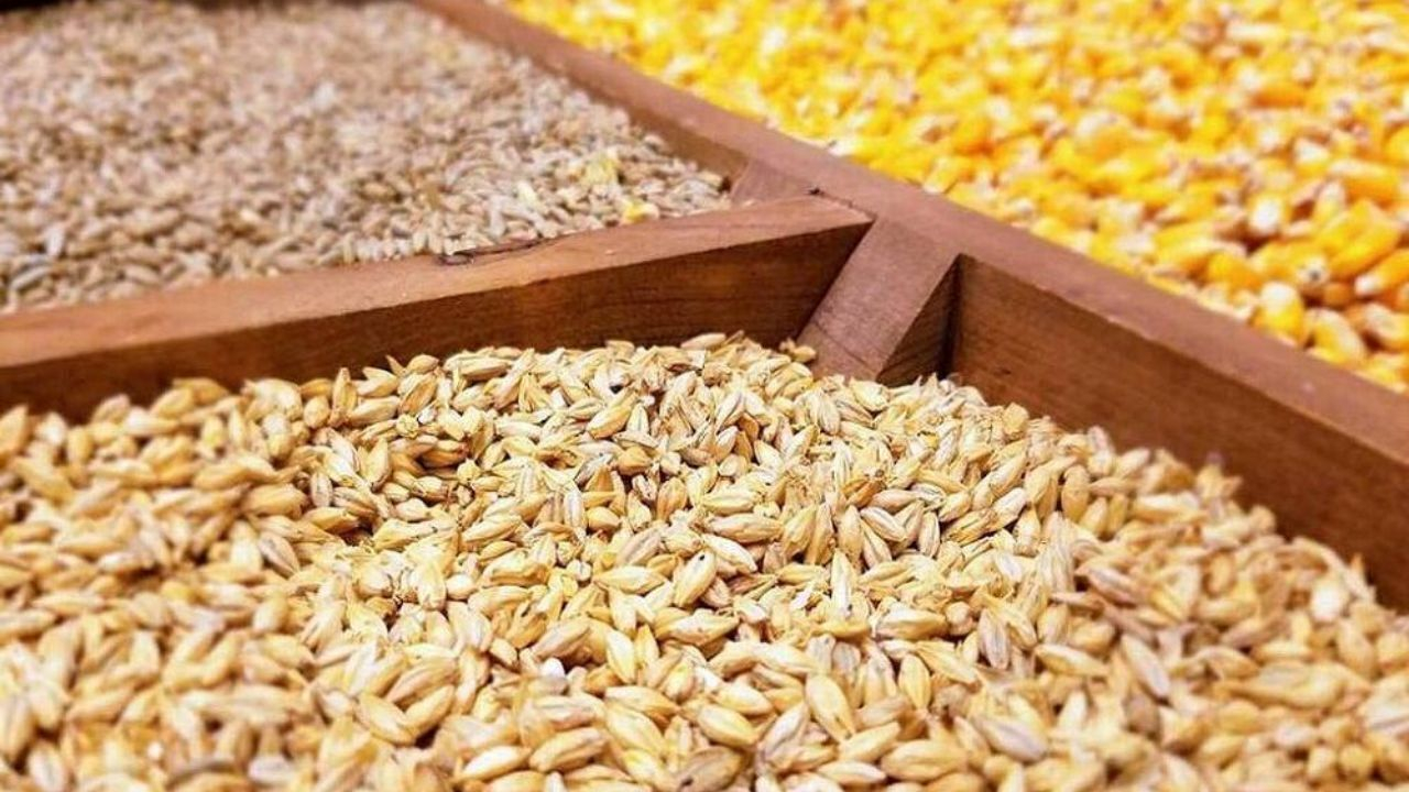 اجازه هیچگونه کمبود و اختلال در تامین را نخواهیم داد