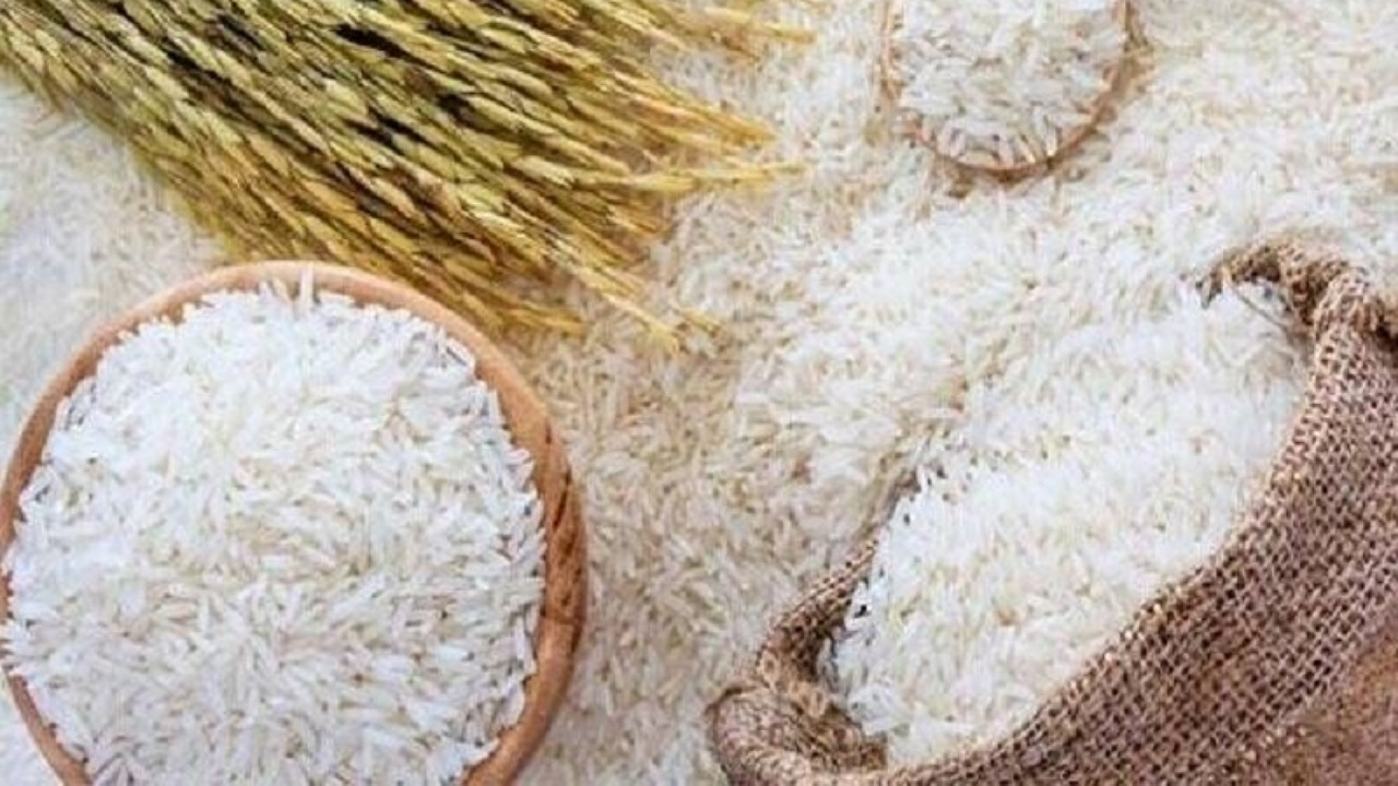 ثبت سفارش ۱۵۰ هزارتن برای ترمیم ذخایر راهبردی در مردادماه