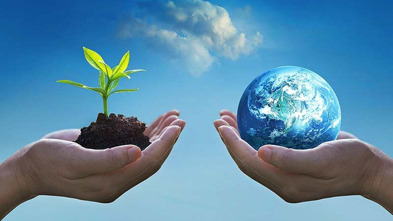 اجرای آموزش محیط زیست برای مدیران و کارکنان دولت+ فیلم