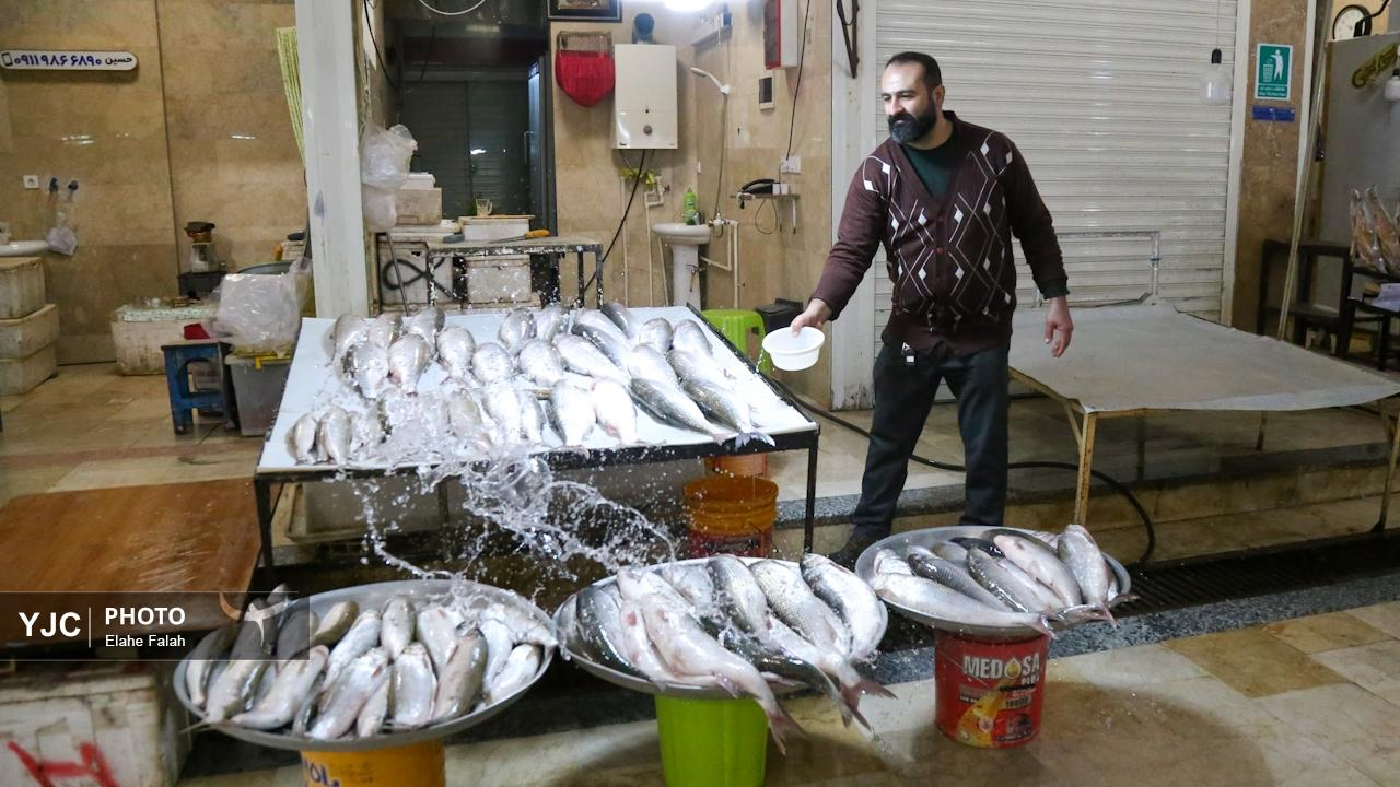 بازاری با بوی دریا، صدای ماهیگیران و رنگ ماهیان تازه