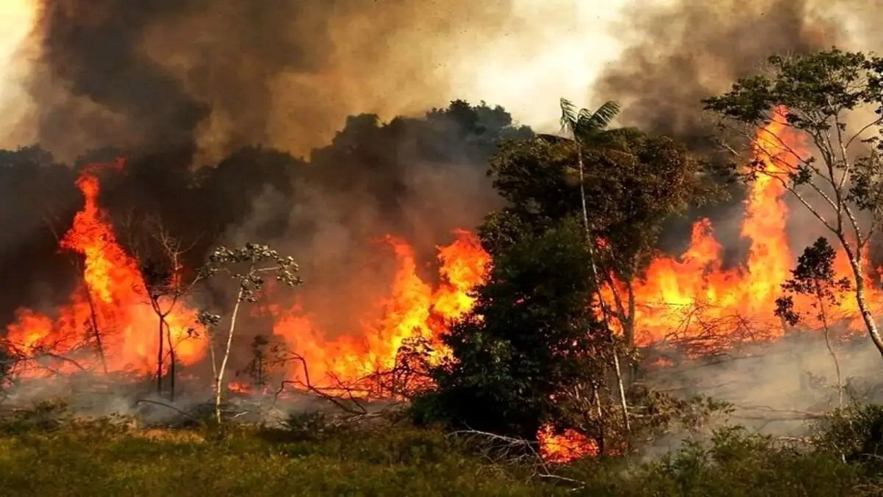 گزارش کمیسیون کشاورزی مجلس درباره بررسی علل آتشسوزی جنگل الیت