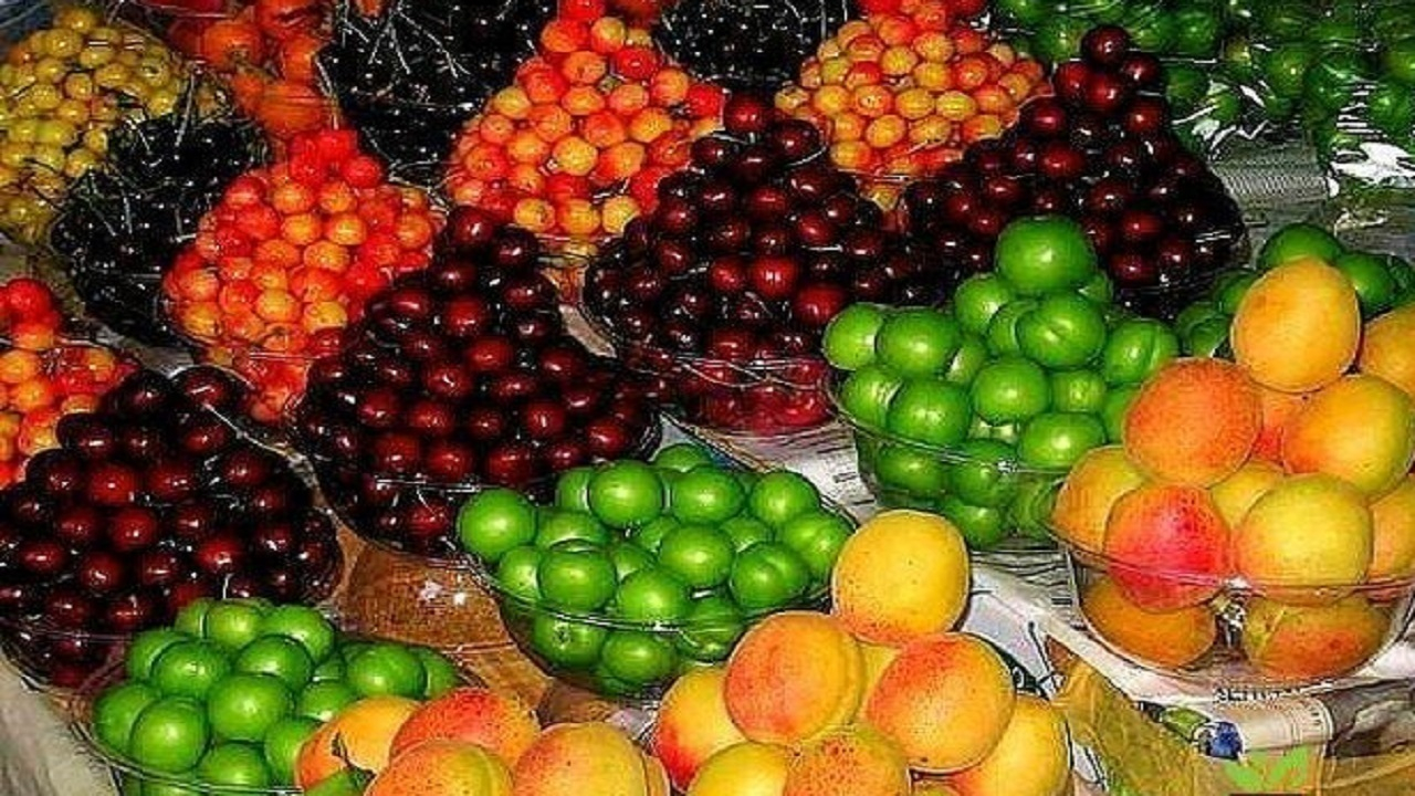سیب زمینی و پیاز ارزان شد