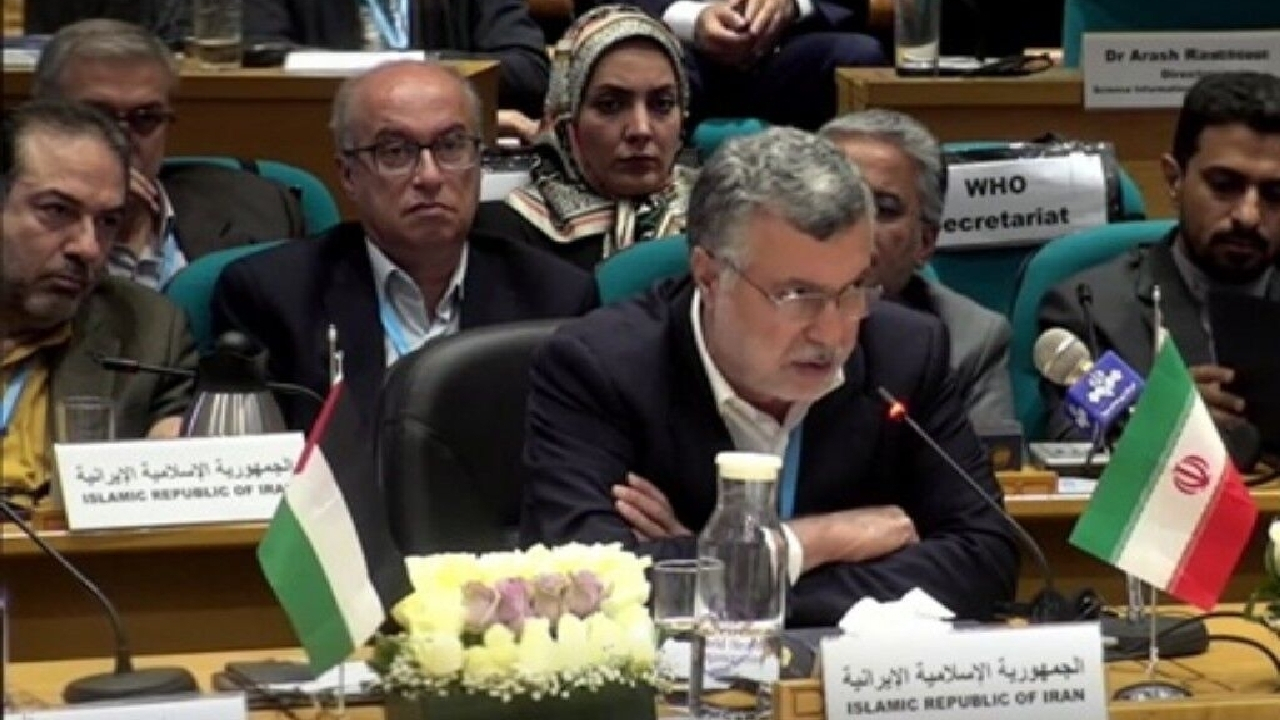ظفرقندی: منابع ایران نزد سازمان جهانی بهداشت بهسرعت تعیینتکلیف شود