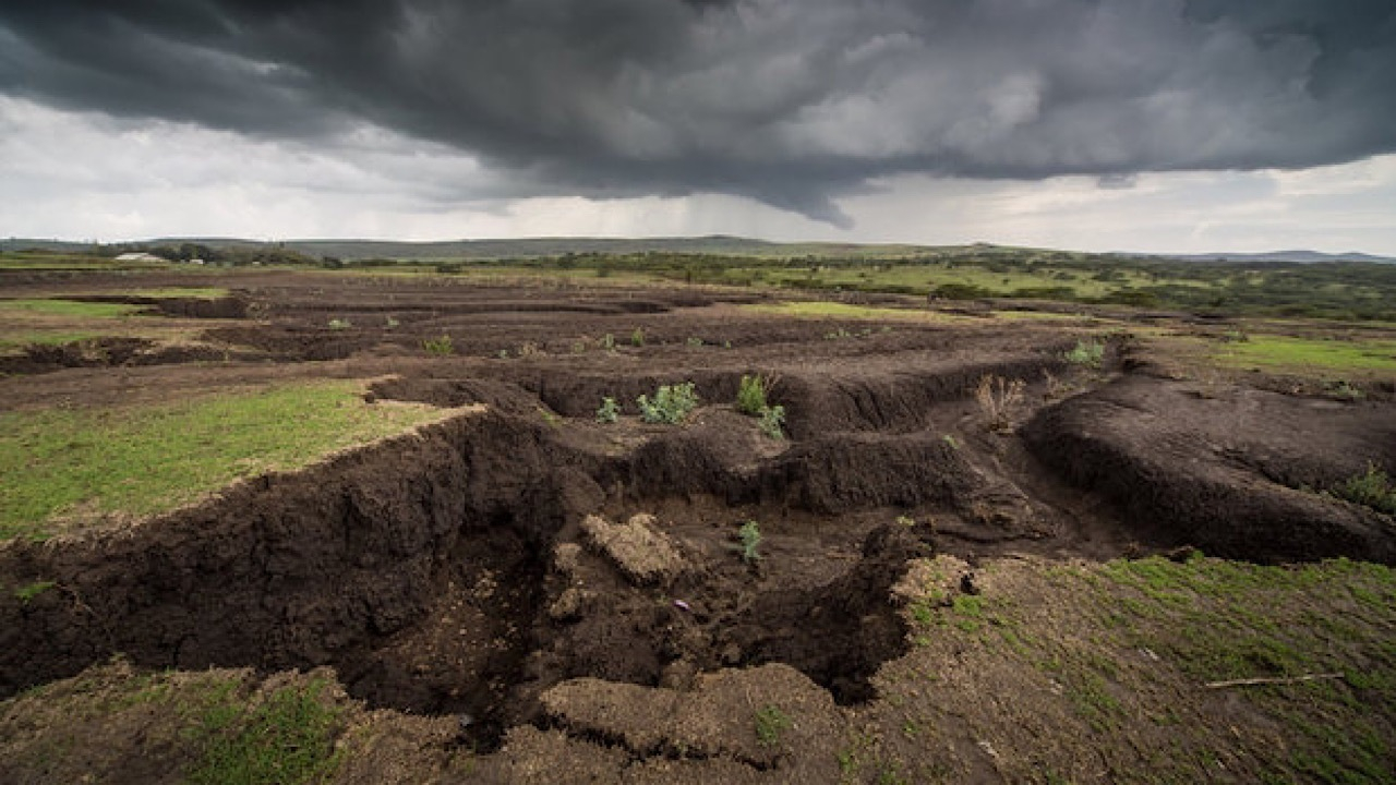 سالانه میلیونها تن کربن از خاک برداشت میشود+فیلم