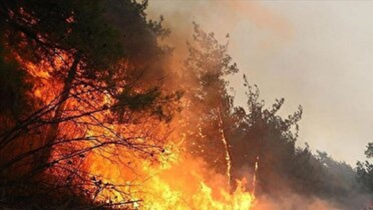 مدیریت و حفاظت از جنگل الیت تا اطفا کامل ادامه دارد