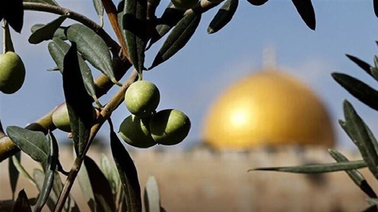 جنگ پنهان در کرانه باختری + فیلم