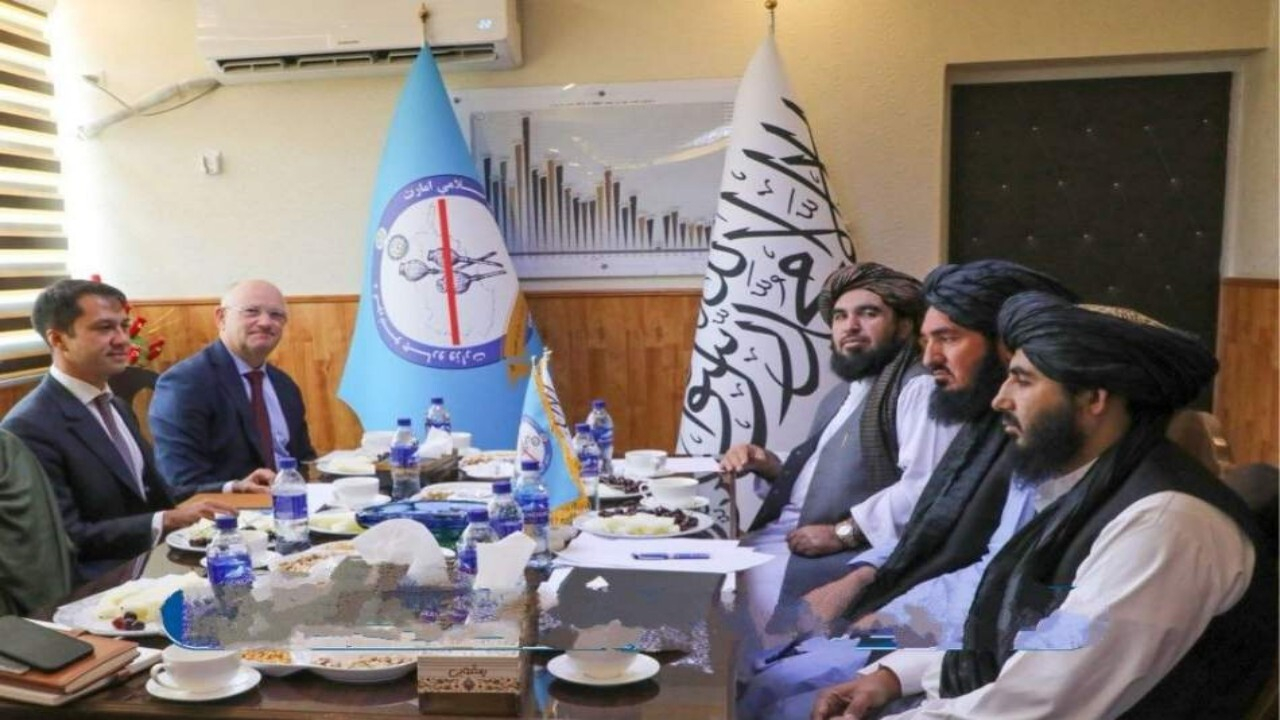 طالبان خواستار همکاری سازمان ملل در مبارزه با مواد مخدر در افغانستان شد