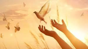 شرط پدر و مادر شوهر برای بخشیدن عروس