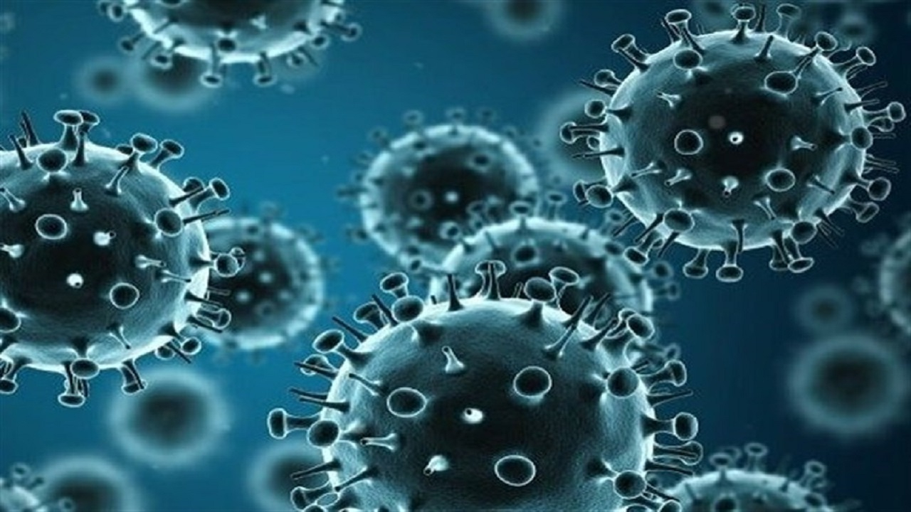 آنتیبیوتیک و داروهای گیاهی درمان آنفلوآنزا نیستند