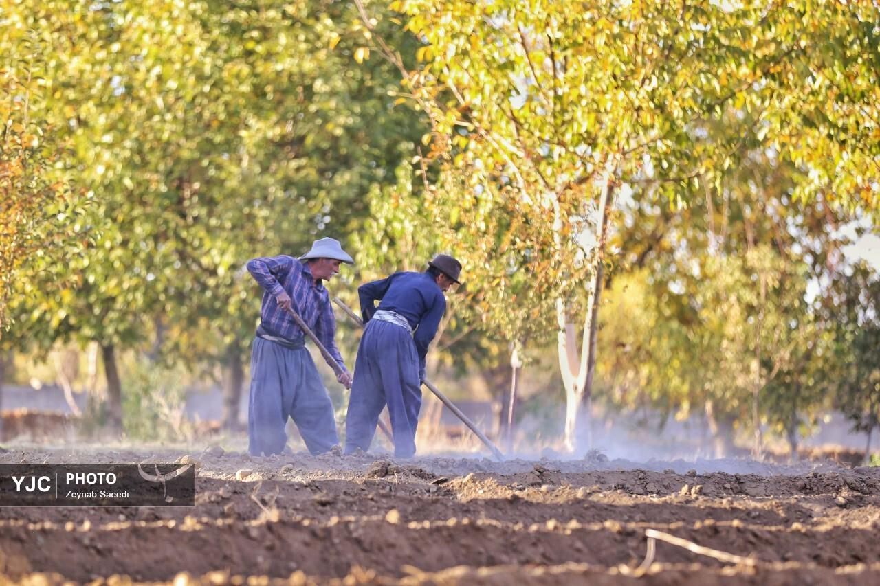 طبیعت پاییزی همدان