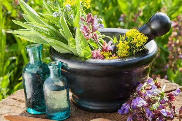 گلایه از فرصتسوزی در صادرات گیاهان دارویی