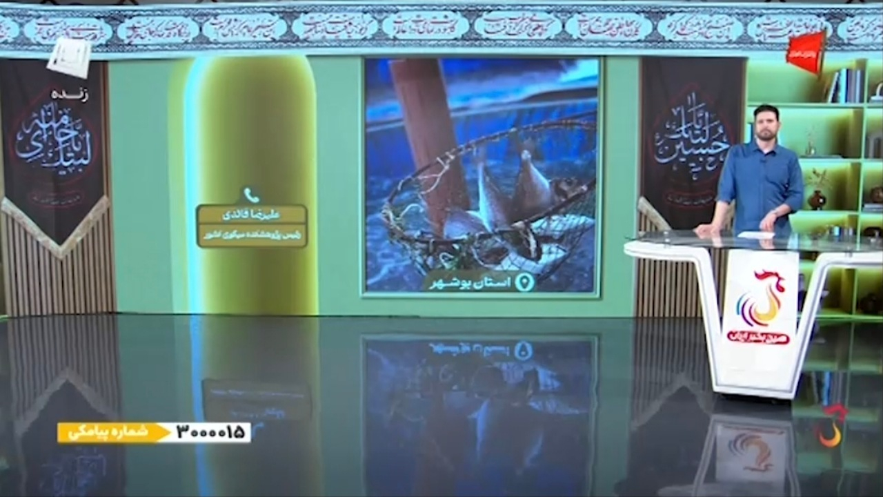 افرادی که به پرورش میگو علاقهمند هستند باید چه کنند؟ + فیلم